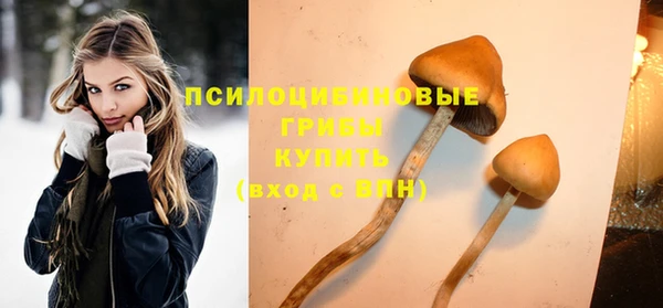 дурь Балахна