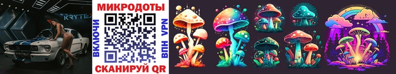 Псилоцибиновые грибы Cubensis  Горняк 